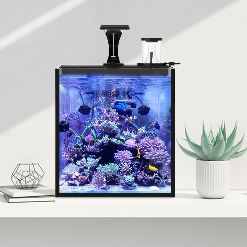 Ultra Clear Glass Mini Salt Wa – Aquarium Marine Clearwater Bewertung und Preis