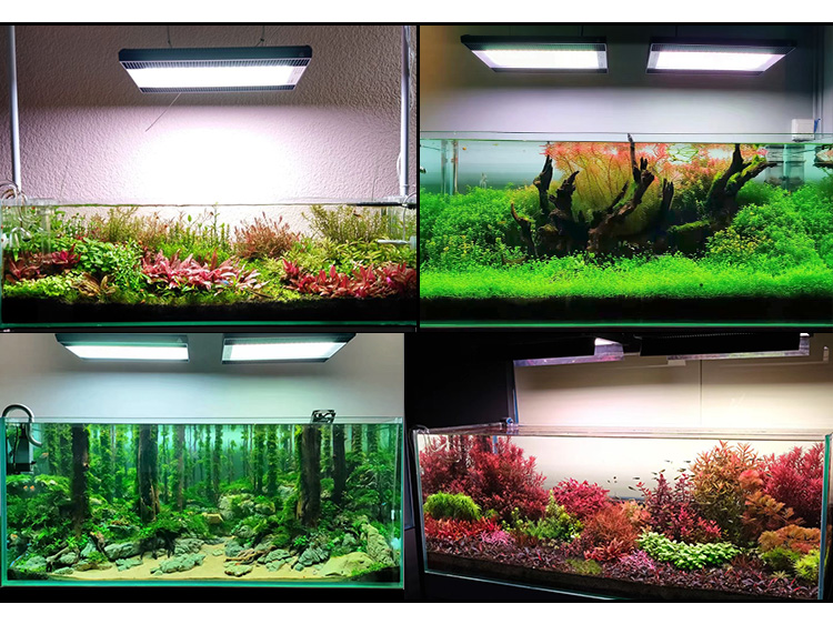 WEEK AQUA A430Pro LED Aquarium – Marine Aquarium Uv Light Bewertung und Preis