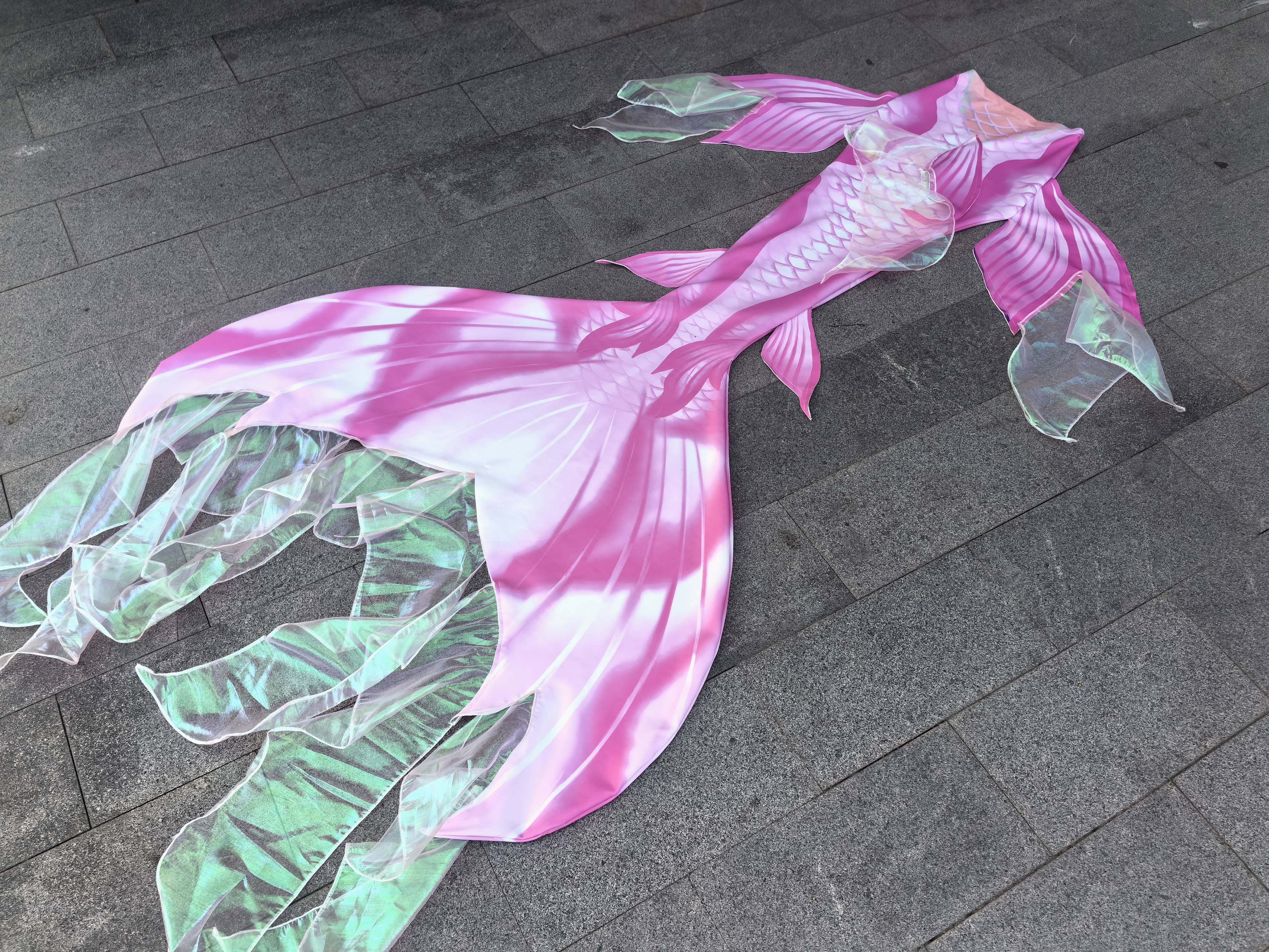 Mermaid Tail Swimsuit Aquarium – Aquarium & Marine Museum Bewertung und Preis