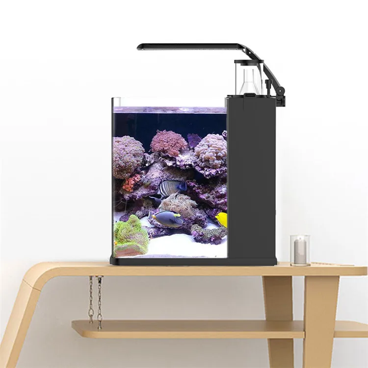 Latest Model Clear Glass Mini  – Aquarium Marine Clearwater Bewertung und Preis