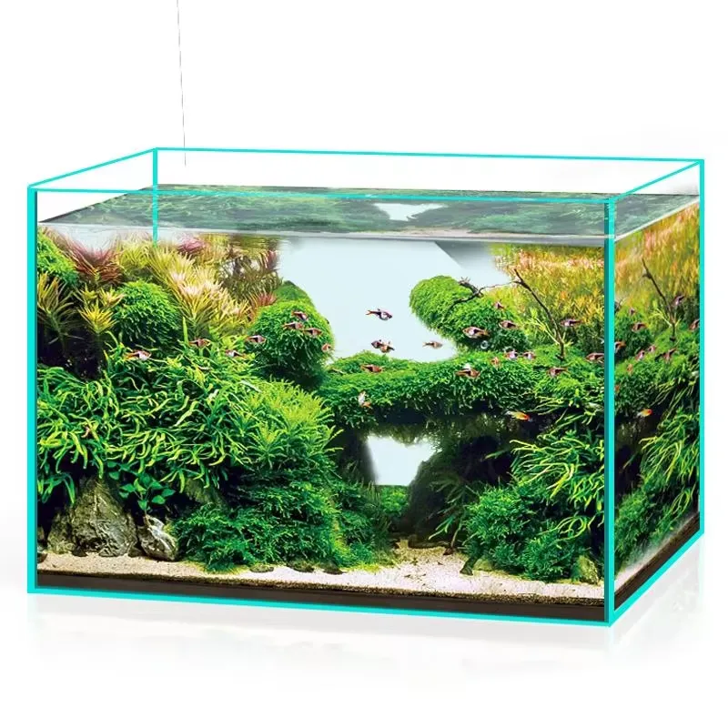 Ultra Clear Glass Aquarium Fis – Aquarium Marine Clearwater Bewertung und Preis