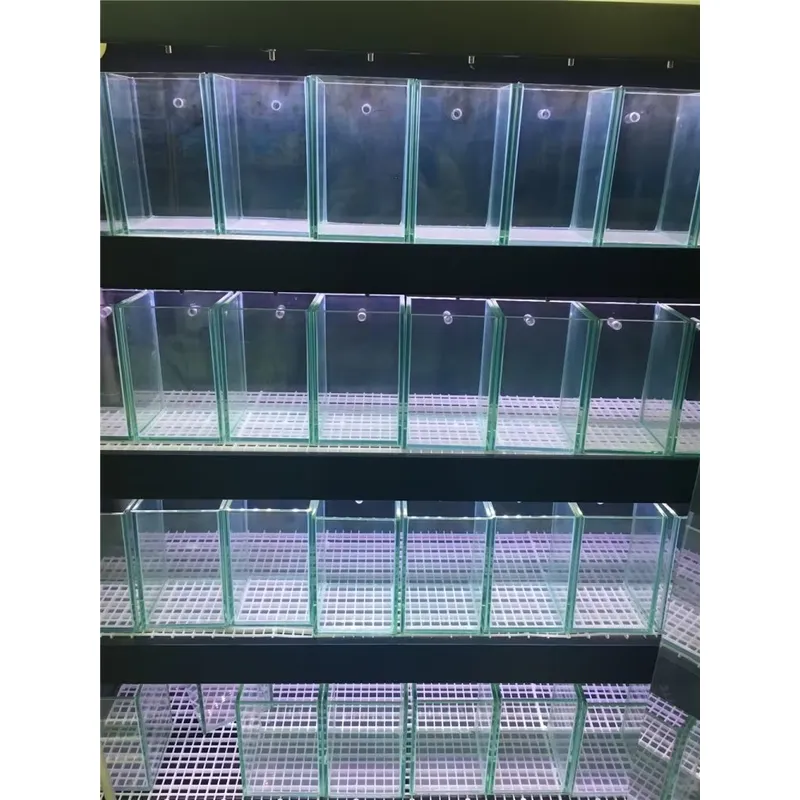 Ultra Clear Glass Aquarium Fis – Aquarium Marine Clearwater Bewertung und Preis