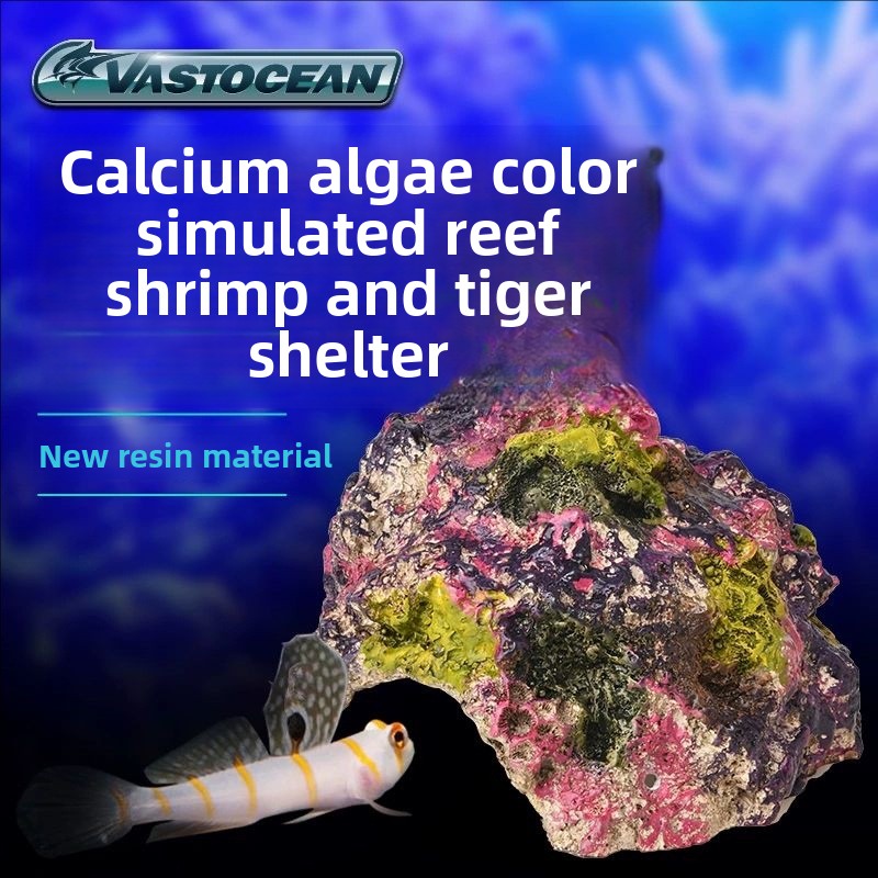 VASTOCEAN Saltwater Aquarium C – Marine Aquarium Hermit Crab Bewertung und Preis