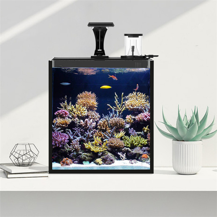 Ultra Clear Glass Mini Salt Wa – Aquarium Marine Clearwater Bewertung und Preis