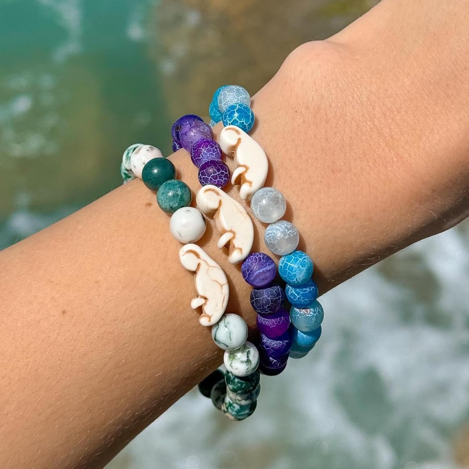 Fahlo Drift Manatee Tracking B – Aquarium Marine Clearwater Bewertung und Preis