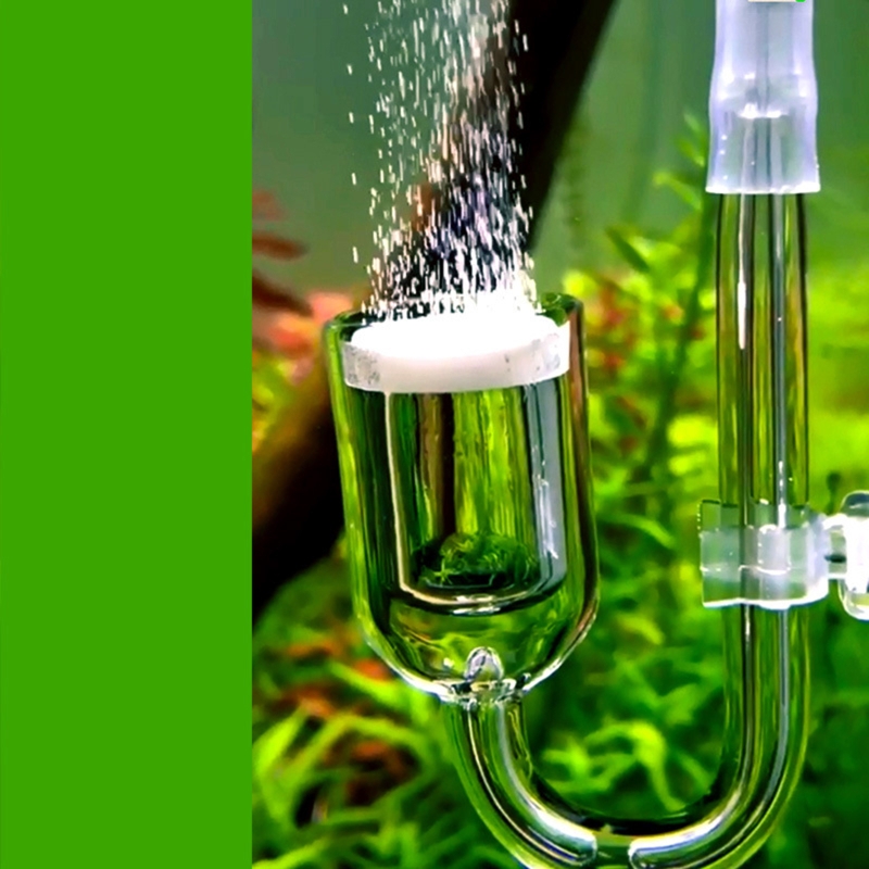 Nano CO2 Diffuser Glass Atomiz – Marine Aquarium Nano Bewertung und Preis