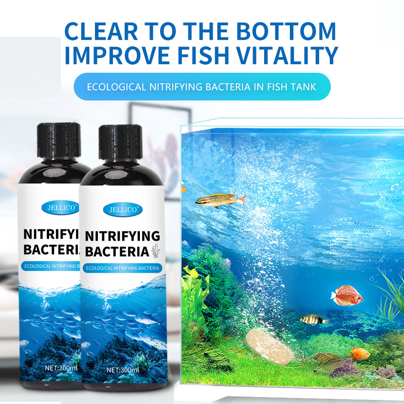 300ml Nitrifying Bacteria Aqua – Aquarium Marine Clearwater Bewertung und Preis