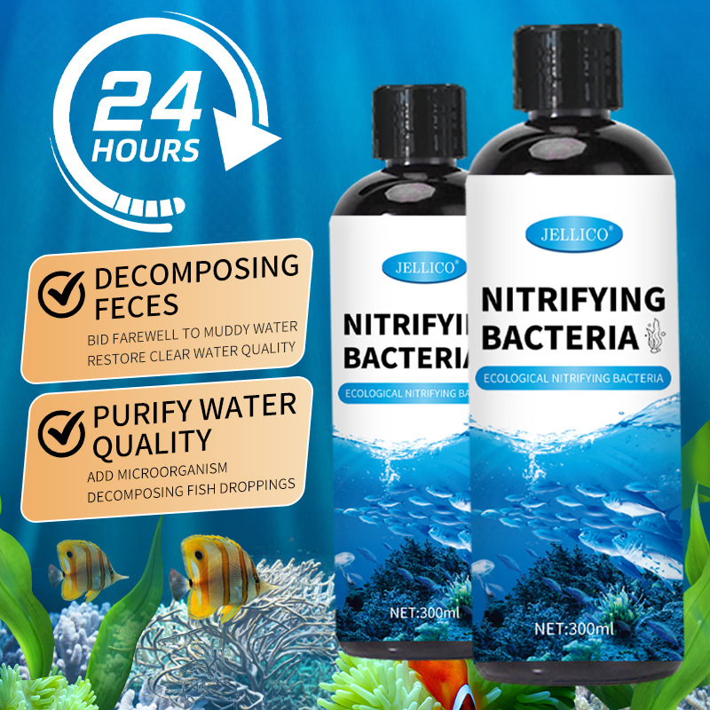 300ml Nitrifying Bacteria Aqua – Aquarium Marine Clearwater Bewertung und Preis