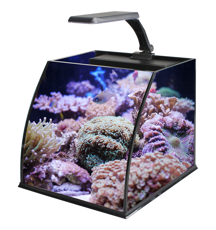 Ultra Clear Glass Mini Salt Wa – Aquarium Marine Clearwater Bewertung und Preis