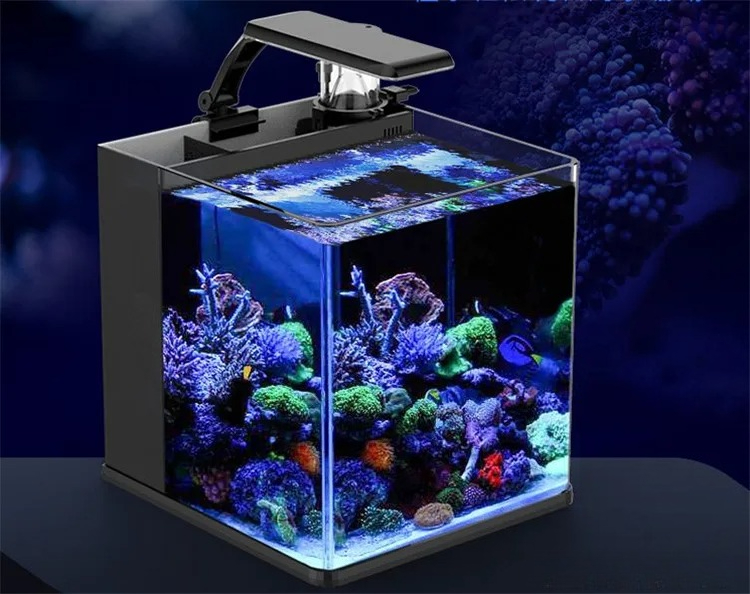 Ultra Clear Glass Mini Salt Wa – Aquarium Marine Clearwater Bewertung und Preis