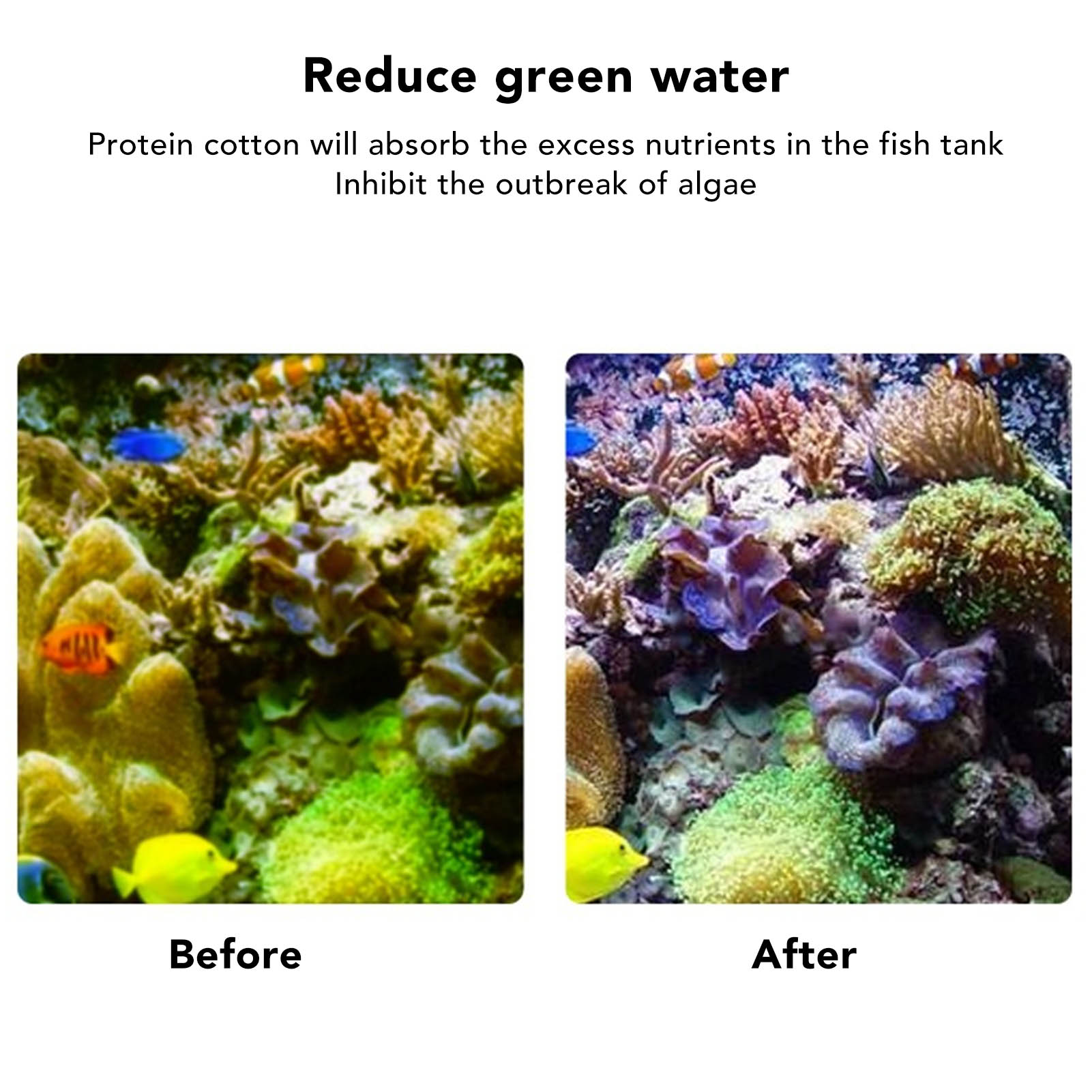 Fish  Filter Resin Aquarium Fi – Marine Aquarium Water Change Bewertung und Preis